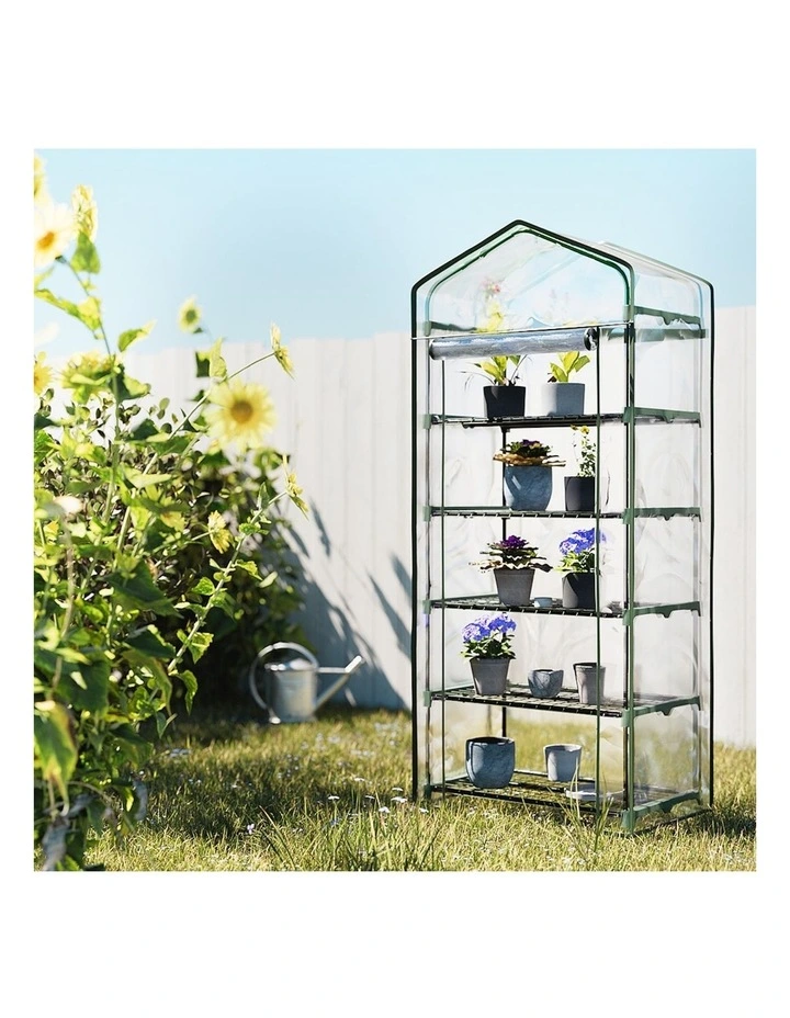 Mini Greenhouse Garden Shed in Transparent