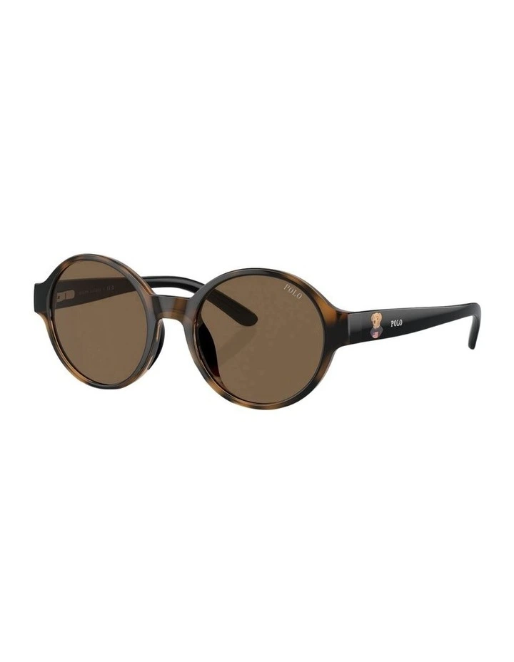 PP9508U Sunglasses in Brown