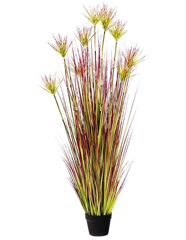 Potted Papyrus Artificial Plant 150cm in Multi