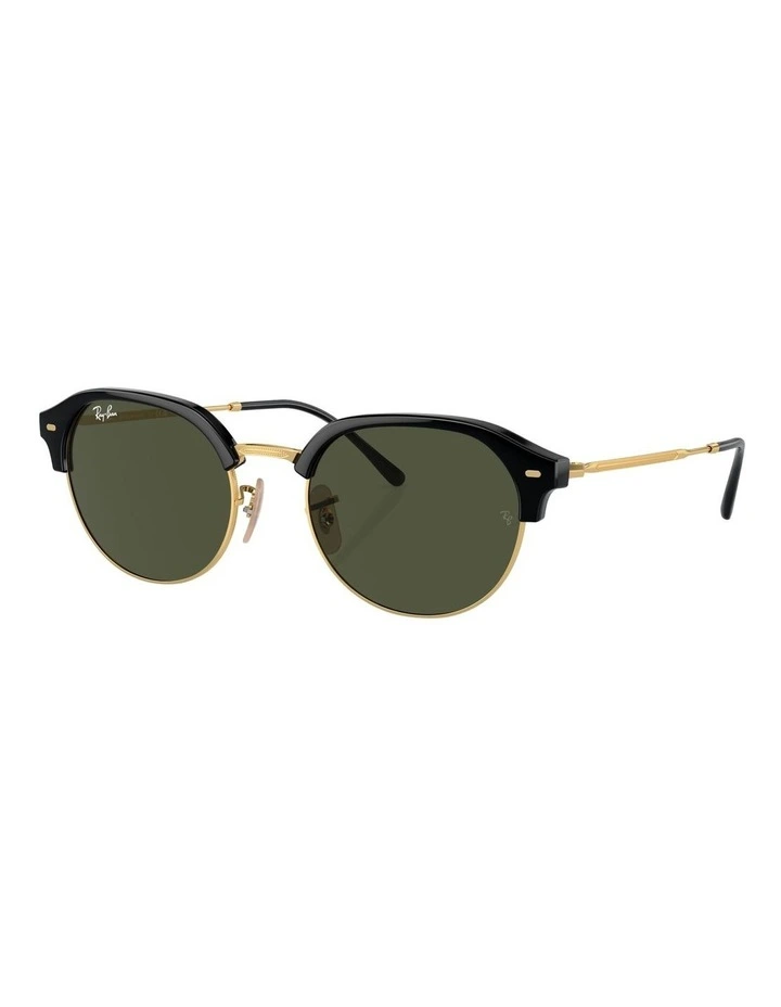 RB4429 Sunglasses in Black