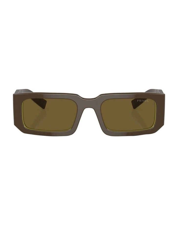 PR 06YS Sunglasses in Brown