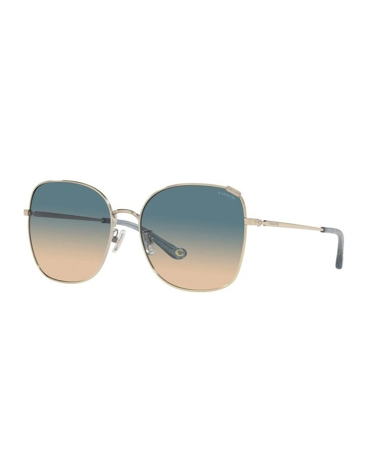 HC7133 C7997 Gold Sunglasses