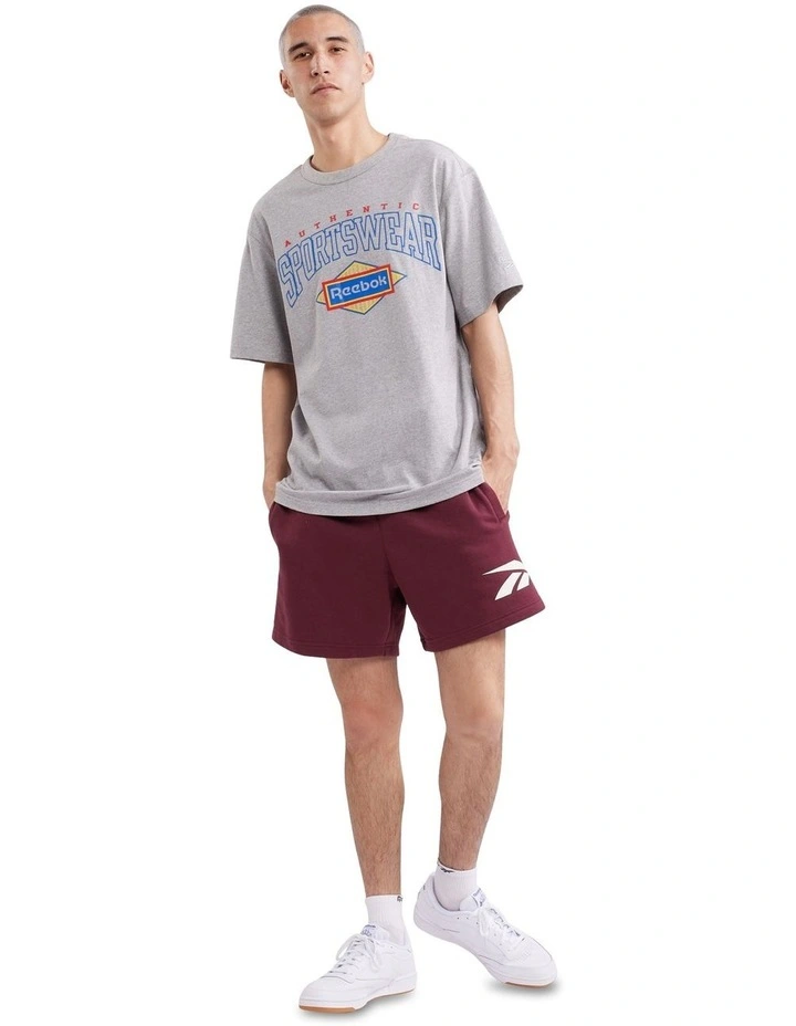 Cl Sg Tee in Grey