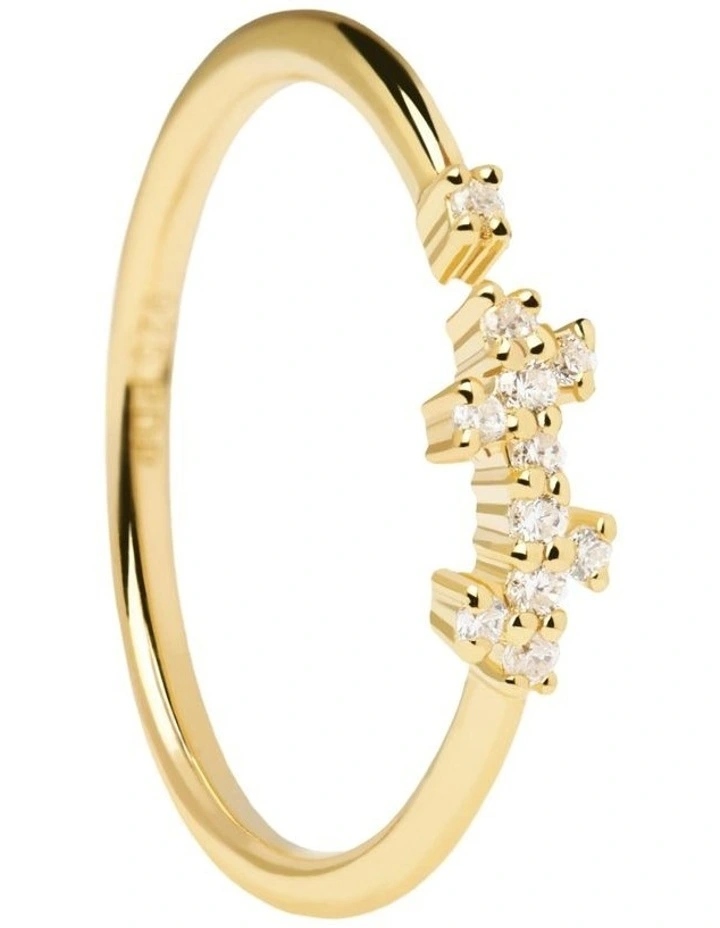 Prince Ring In Gold