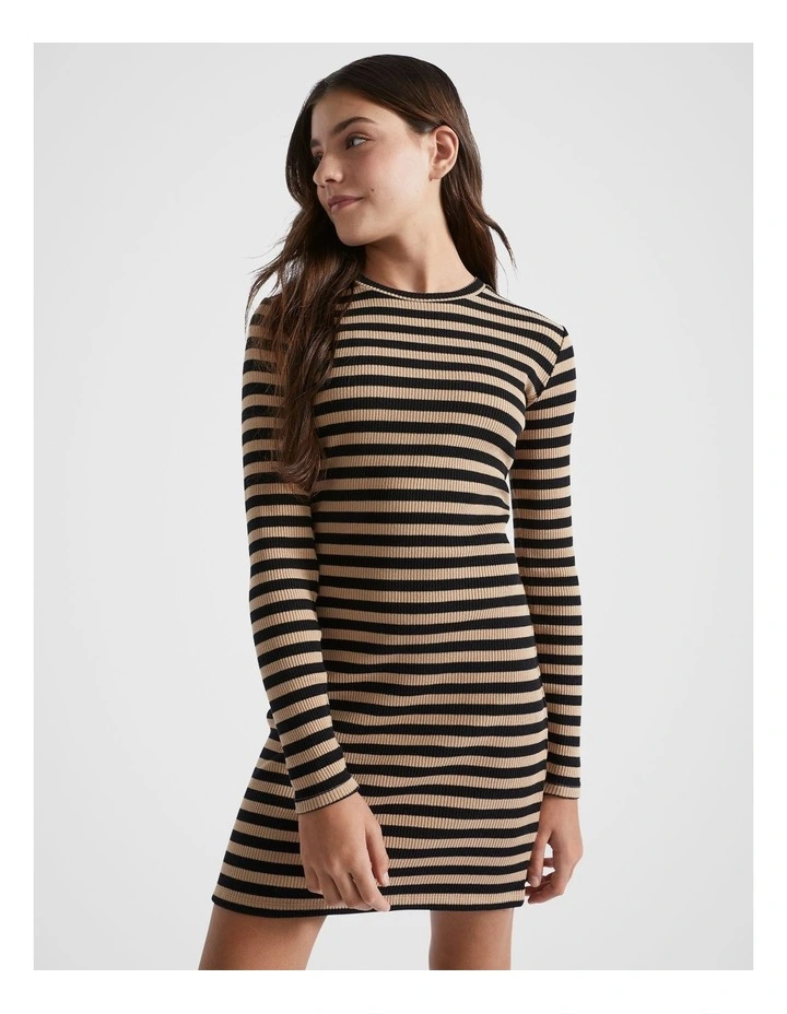 Stripe Rib Dress in Multi