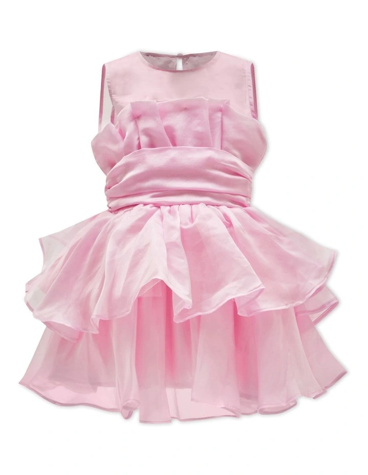 Fallon Organza Mini Dress in Lili Pink