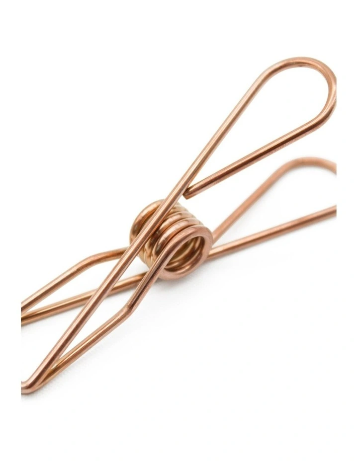 Large Stainless Steel Pegs 40 Pack in Rose Gold