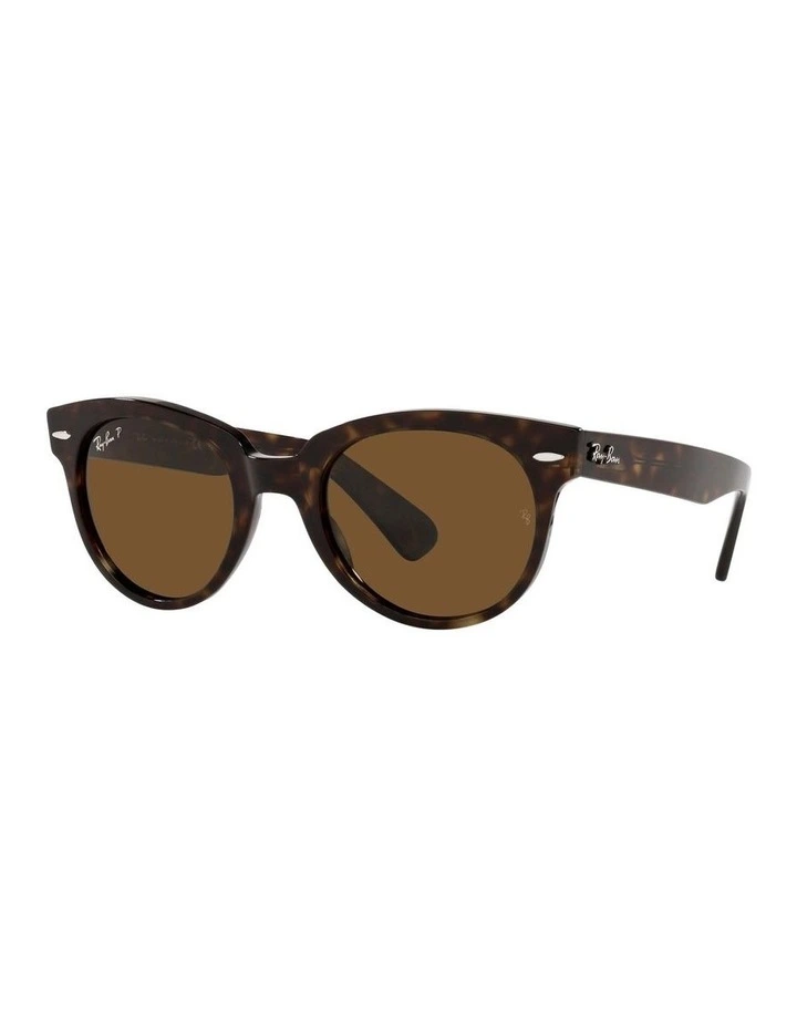 Orion Brown RB2199 Polarised Sunglasses