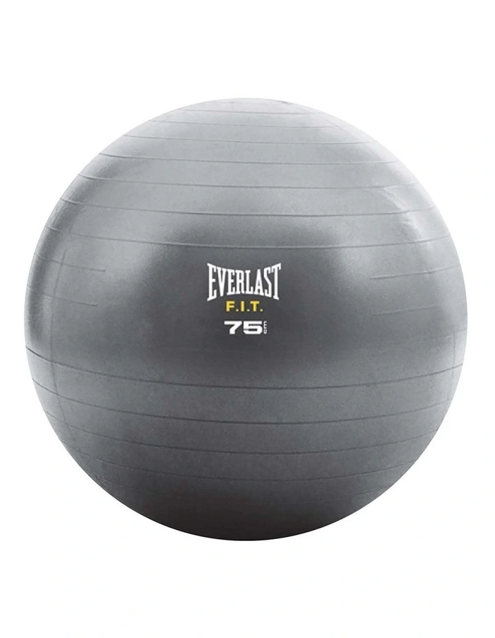 Core Strength Ball 75Cm Grey