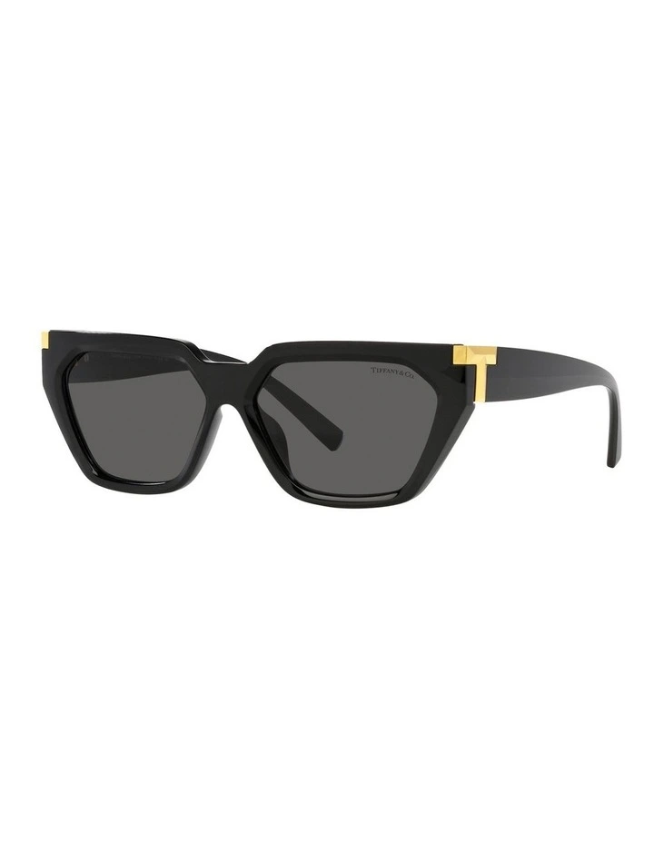 TF4205U Sunglasses in Black