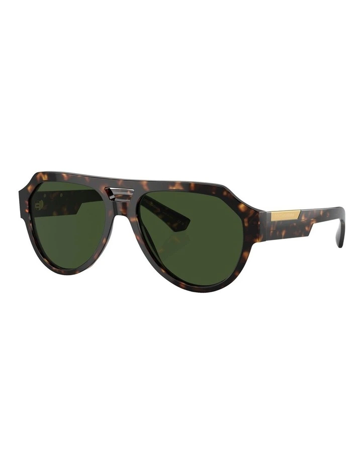 DG4466F Sunglasses in Tortoise