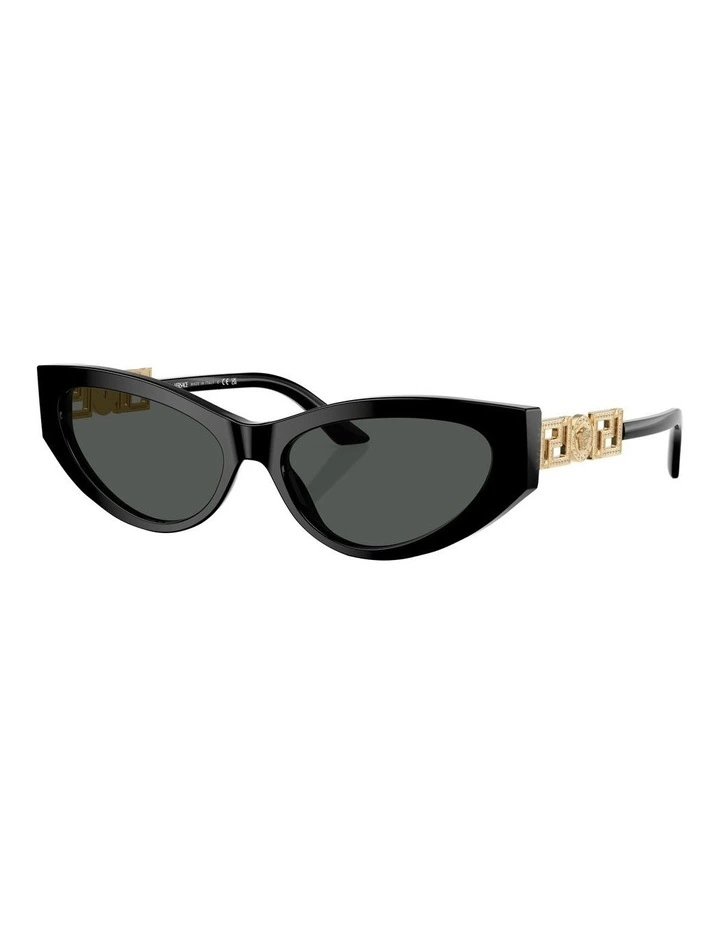VE4470B Sunglasses in Black