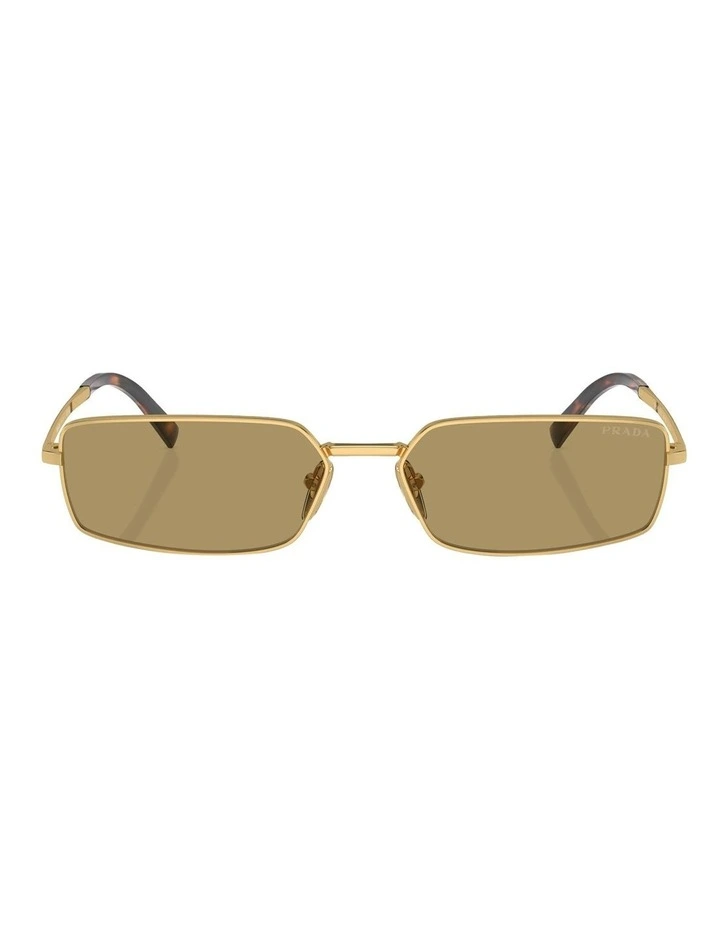 PR A60S Sunglasses in Gold