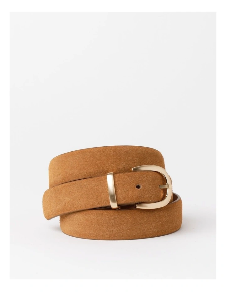 Suede Belt in Tan