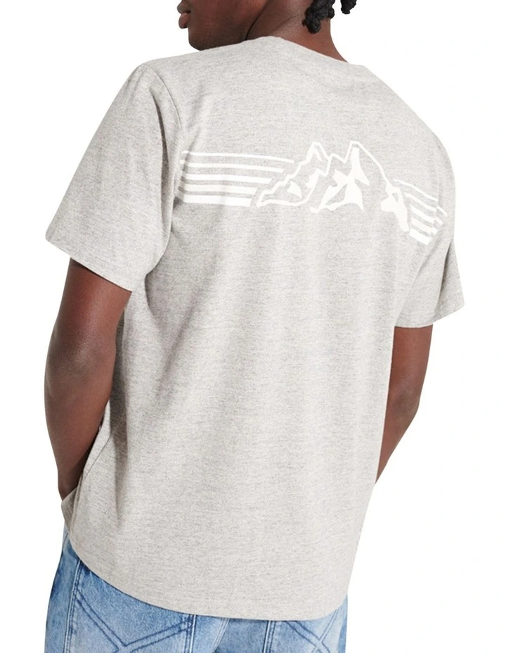 Expedition Graphic Tee in Grey