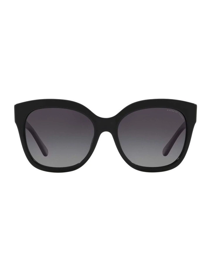 HC8264 L1083 Black Polarised Sunglasses