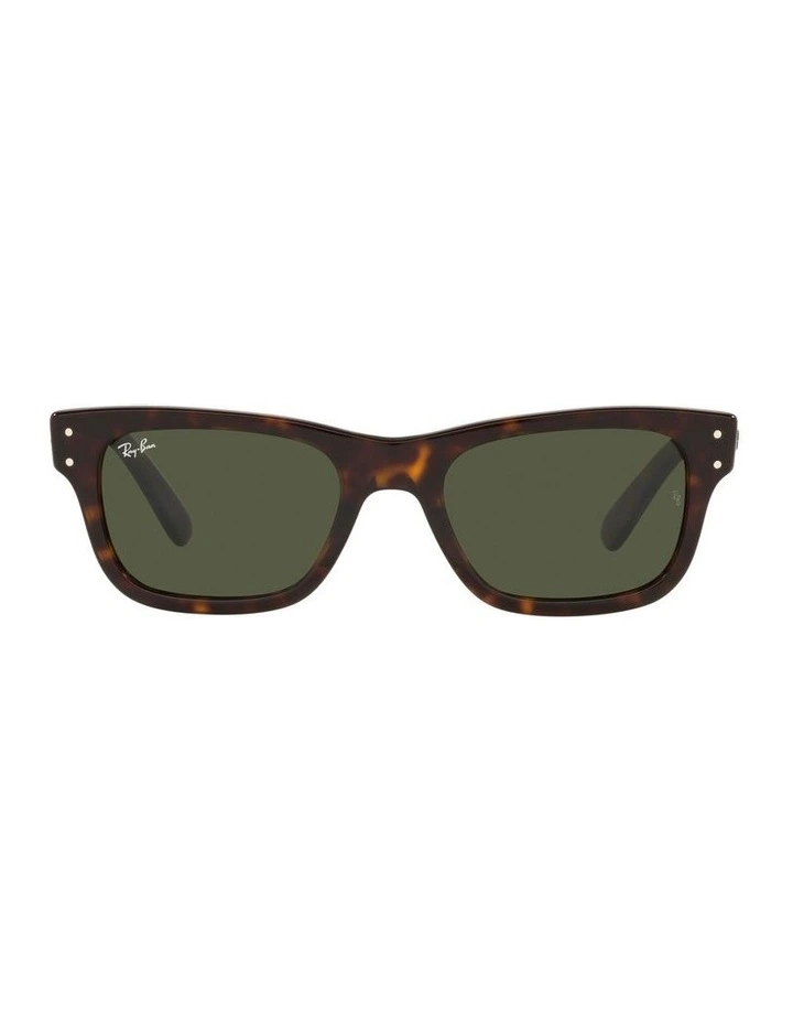 Burbank Tortoise RB2283F Sunglasses