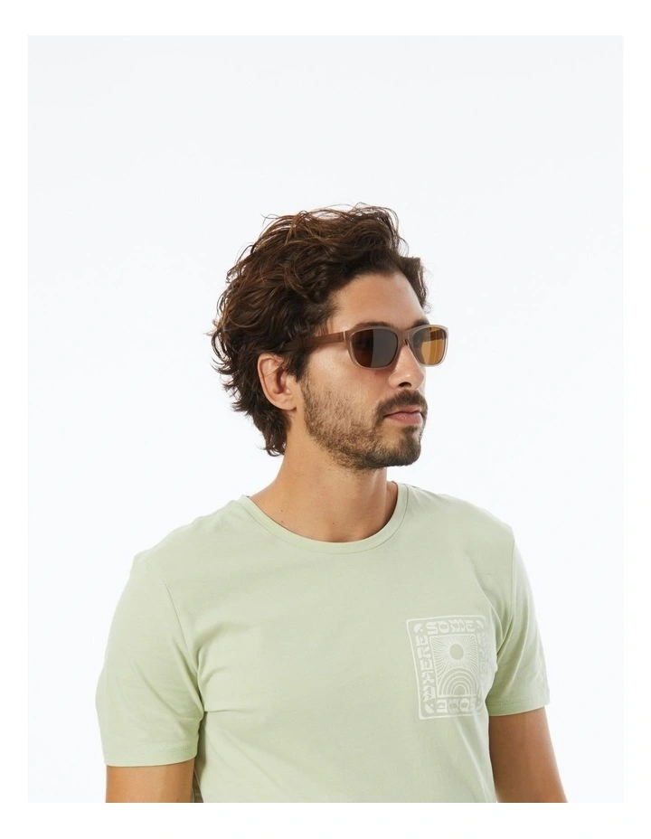 Polarised Brown Lenses Sunglasses in Brown