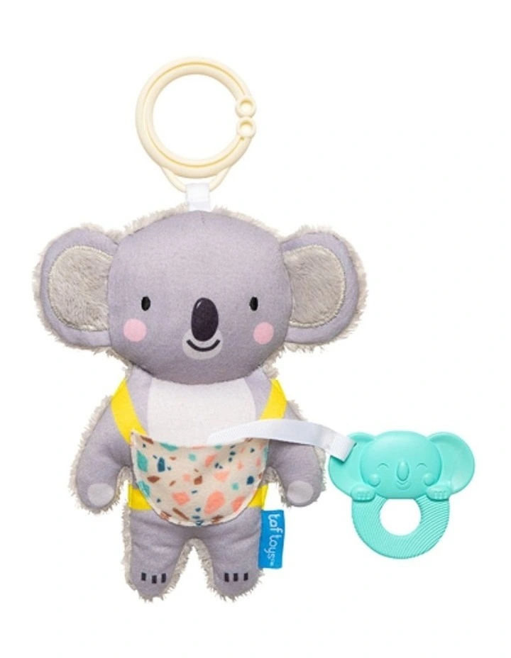 Kimmy the Koala