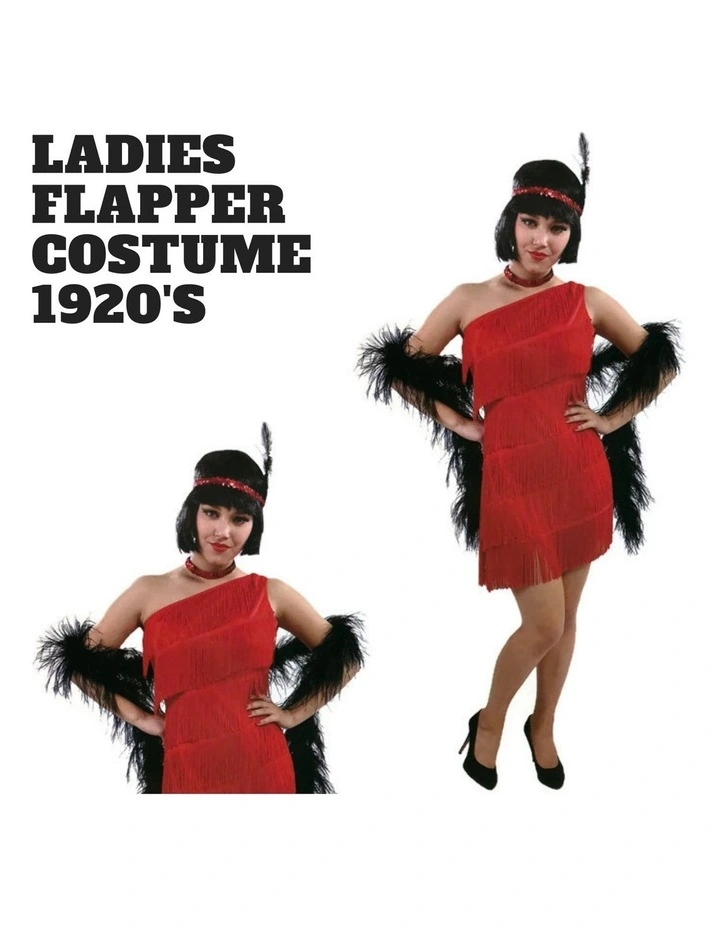 1920s 20s Charleston Flapper Chicago Gatsby Fancy Dress Costume in Multi