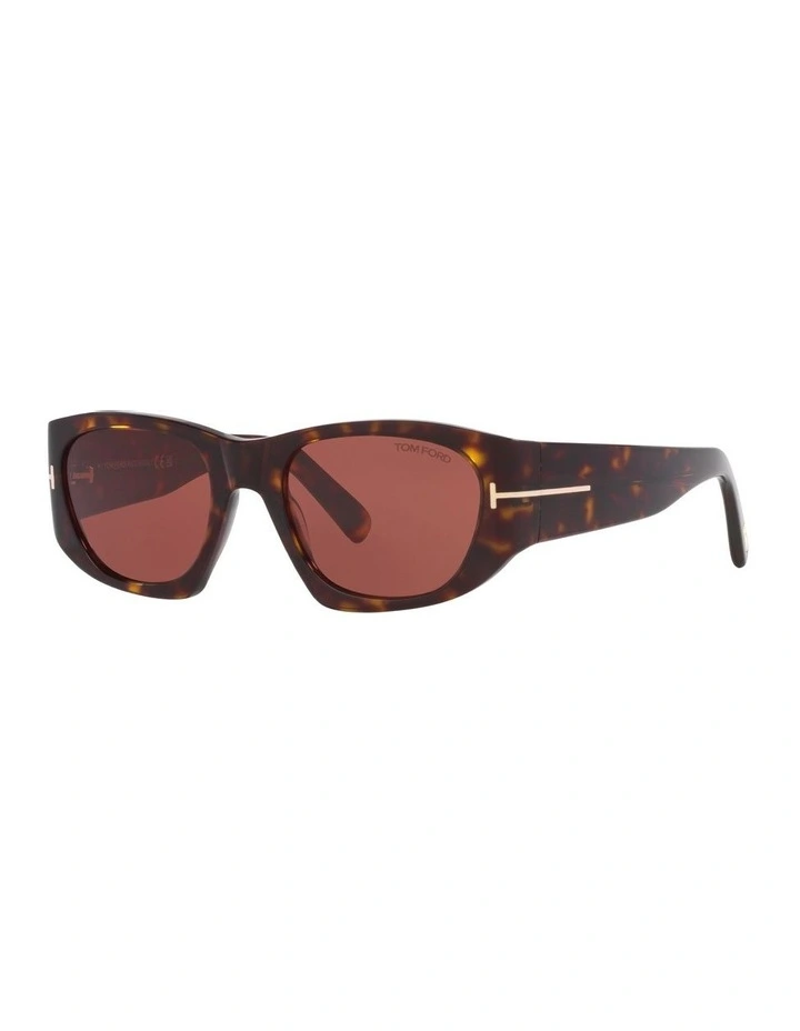 FT0987 Sunglasses in Black