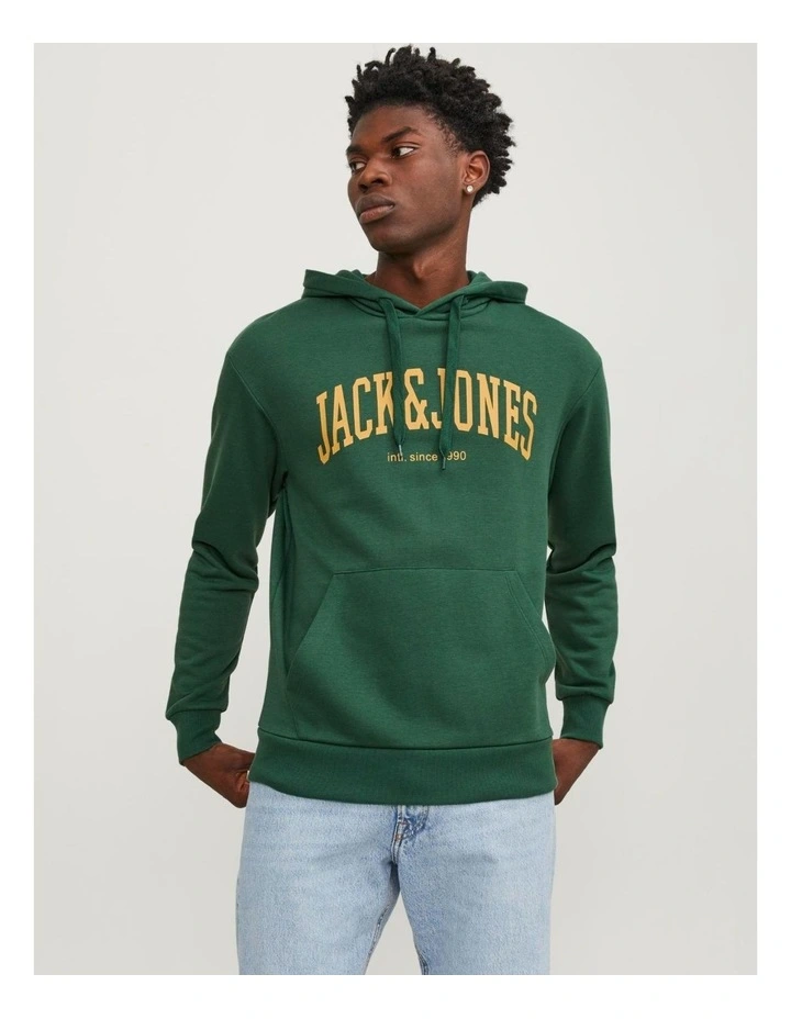 Josh Hooded Sweatshirt in Green