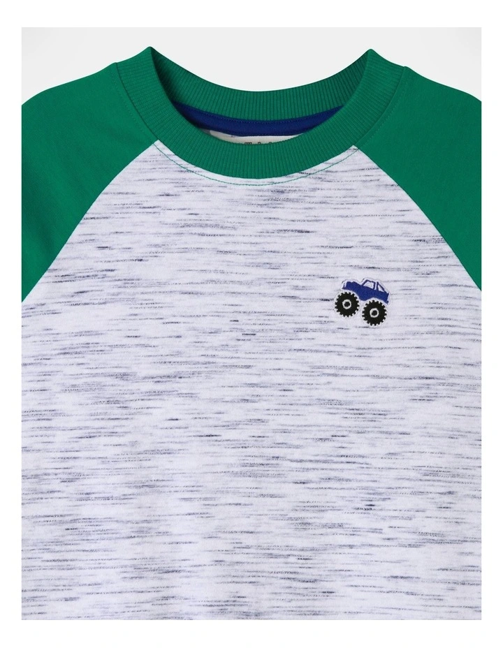 Long Sleeve Space Dye Raglan Tee in Green