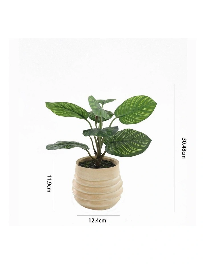Artificial Arrowroot Plant in Ceramic Pot in Green/Blush