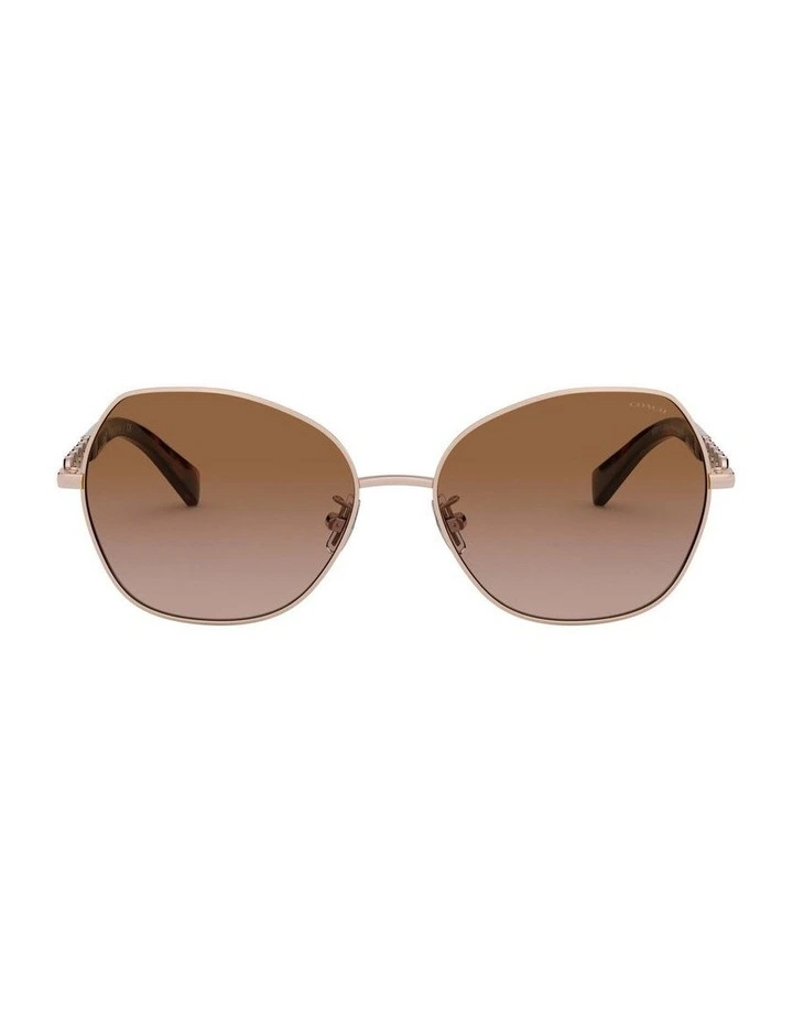 HC7112 L1130 Gold Sunglasses