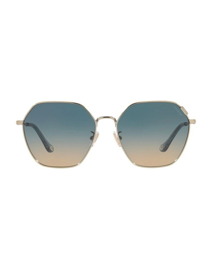 HC7132 C7998 Gold Sunglasses
