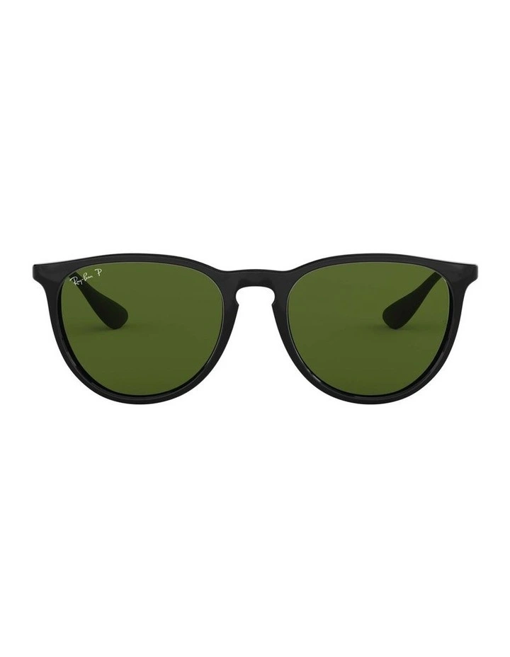 Erika Black RB4171F Polarised Sunglasses