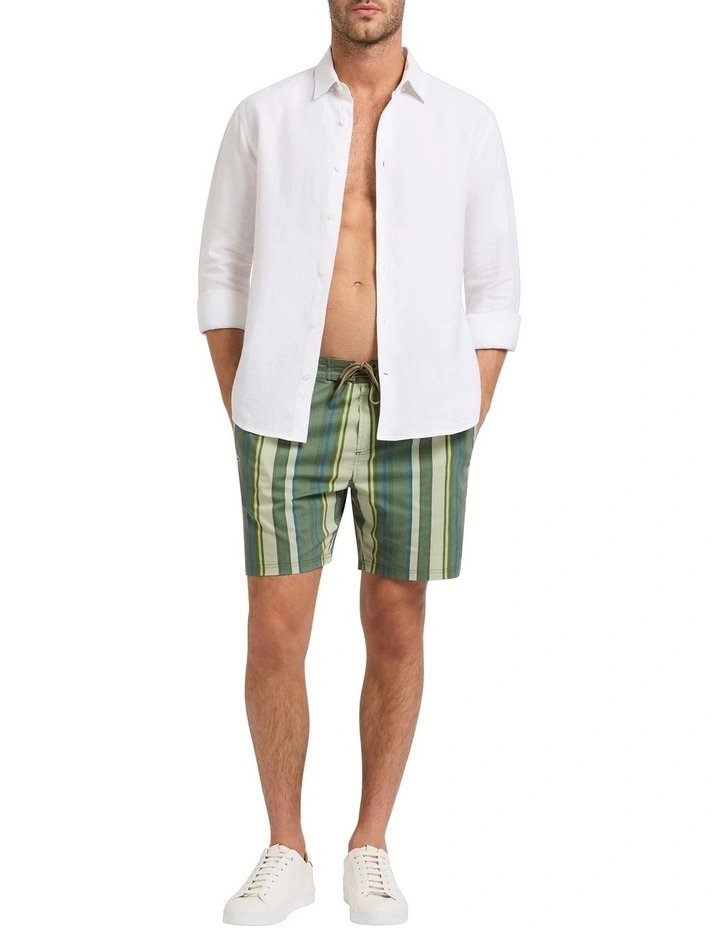 Diego Swim Short in Fern Stripe
