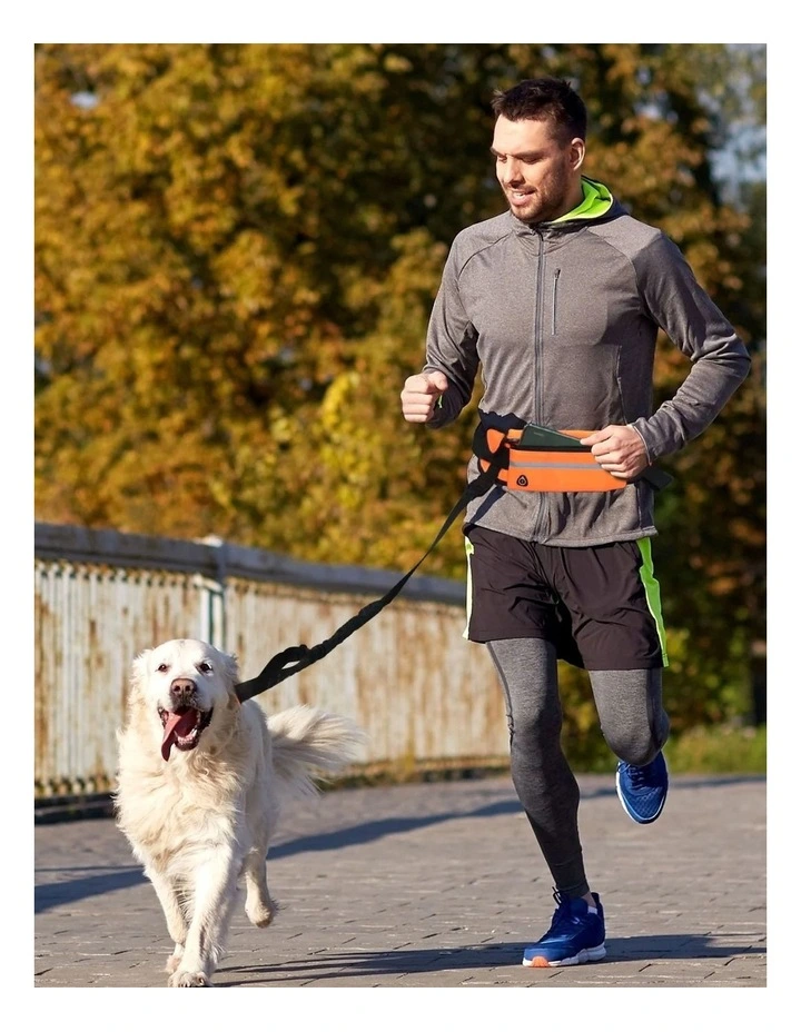 Adjustable Hands-Free Pet Leash Bag in Orange
