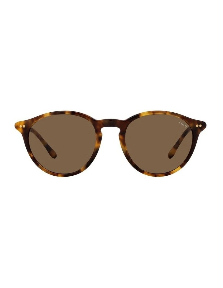 PH4193 Sunglasses in Brown