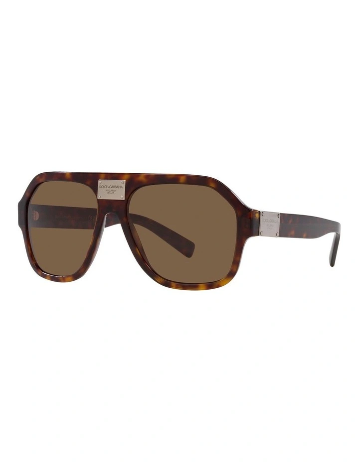 DG4433 Tortoise Sunglasses in Brown