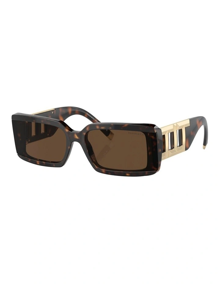 TF4197 Sunglasses in Tortoise