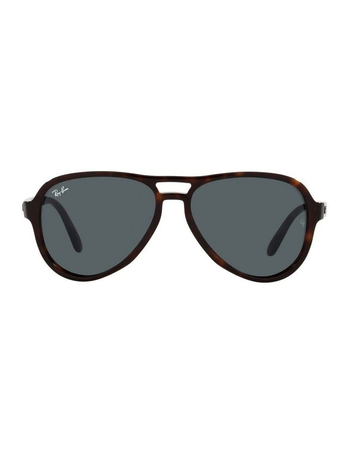 Vagabond Brown RB4355 Sunglasses