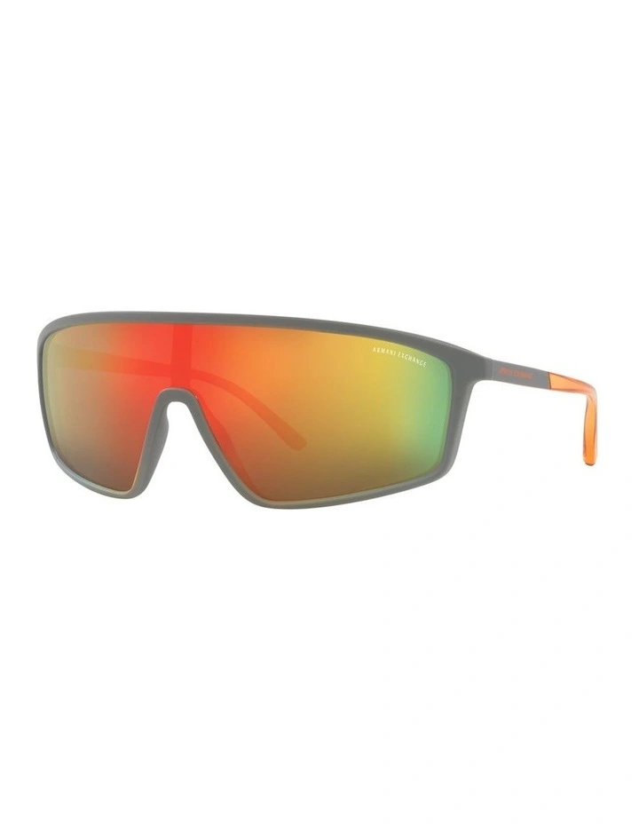 AX4119S Grey Sunglasses