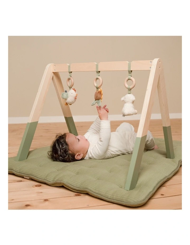 Little Farm Baby Gym Toy