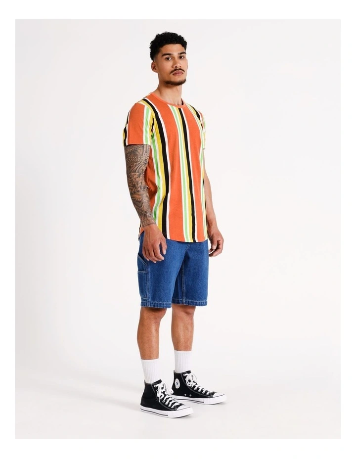 Santiago Stripe Print Short Sleeve Tee in Multicolour