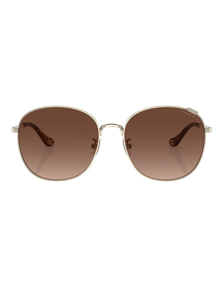 Polarized C7996 Sunglasses in Gold