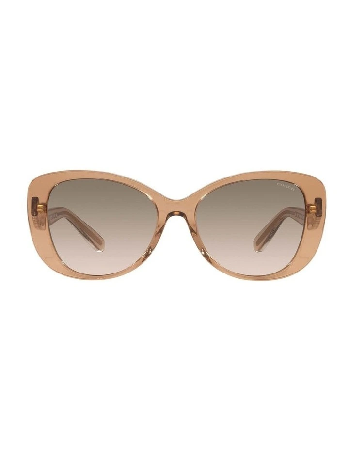 HC8322F C6184 Brown Sunglasses