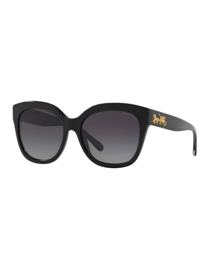 HC8264 L1083 Black Polarised Sunglasses
