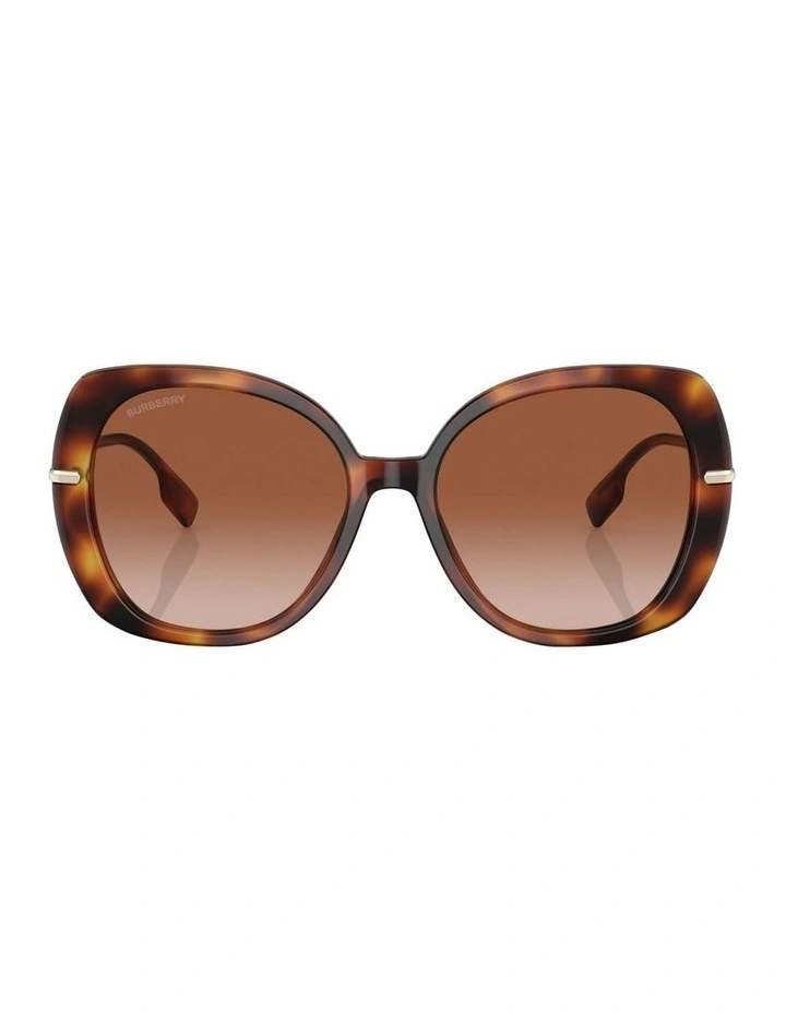 Eugenie Sunglasses in Tortoise