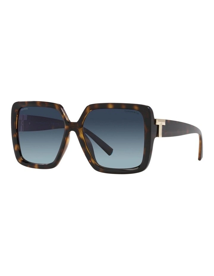 TF4206U Polarised Sunglasses in Tortoise