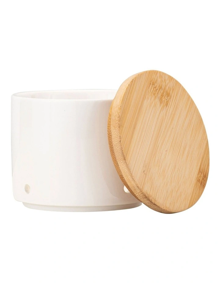 Basics Ginger/Garlic Grater Gift Boxed 9cm in White