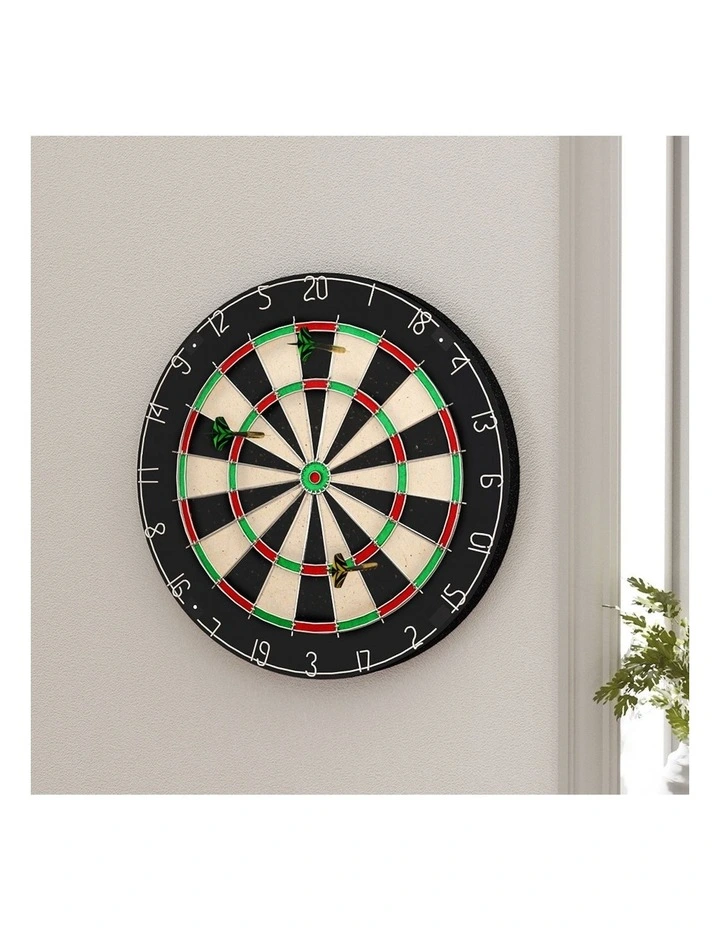Dart Board with Steel Darts 18inch in Multi