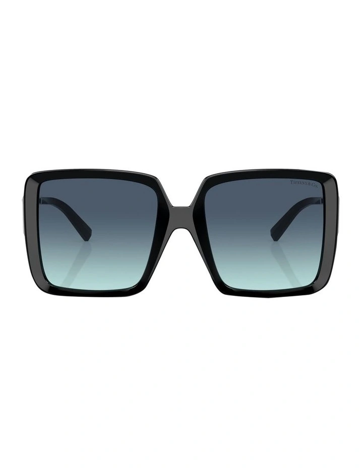 TF4212U Sunglasses in Black