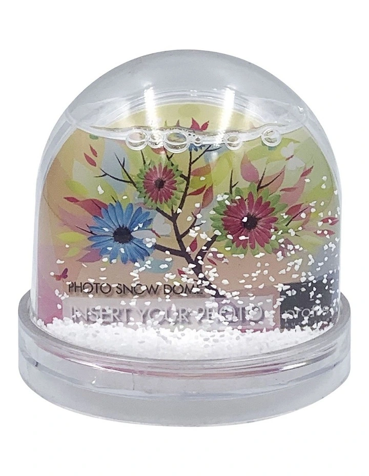 Snow Dome in Clear