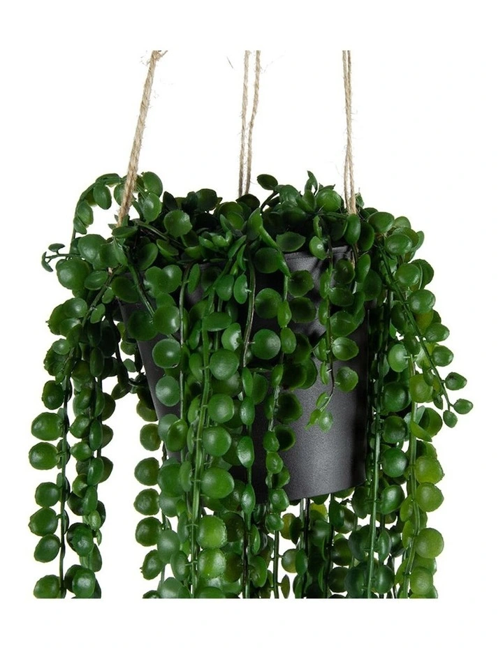 Artificial Coin-Leaf Peperomia Hanging in Green